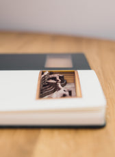 Creation of Adam | Cartartem